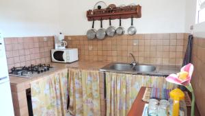 eine kleine Küche mit einer Spüle und einer Mikrowelle in der Unterkunft Appartement d'une chambre avec wifi a Le Robert a 2 km de la plage in Le Robert