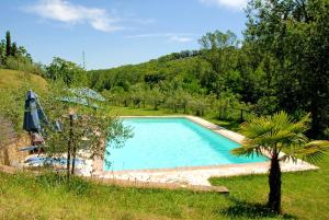 a swimming pool in a yard with a palm tree at Charming Apartment in Montepulciano 45m² with shared pool in Montepulciano