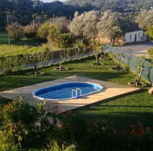 בריכת השחייה שנמצאת ב-One bedroom appartement with shared pool enclosed garden and wifi at Monchique או באזור
