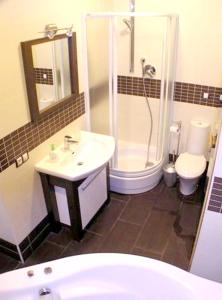 a bathroom with a shower and a sink and a toilet at Maison confortable à Lunas avec vue montagne + jardin in Lunas