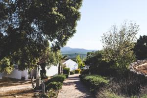 einen Weg zu einem weißen Haus mit Bäumen in der Unterkunft 2 bedrooms house with shared pool and terrace at Estepa in Lora de Estepa