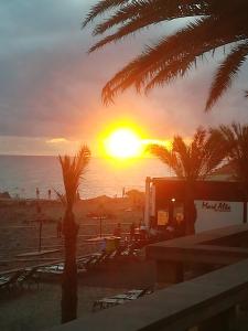 - un coucher de soleil sur une plage avec des palmiers et l'océan dans l'établissement Studio at Funchal 500 m away from the beach with terrace and wifi, à Funchal