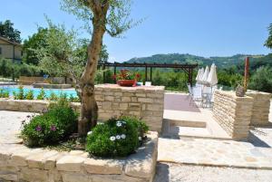 a patio with a tree and a swimming pool at One bedroom appartement with shared pool and wifi at Montalto delle Marche in Montalto delle Marche