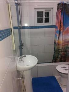 a bathroom with a sink and a toilet and a shower at Lovely 4-Bed House in beautiful Portland in Buff Bay