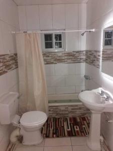 a bathroom with a toilet and a sink at Lovely 4-Bed House in beautiful Portland in Buff Bay