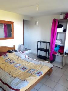 1 cama grande en un dormitorio con cortinas rosas en Appartement d'une chambre avec vue sur la mer piscine partagee et jardin amenage a Saint Joseph, en Saint-Joseph