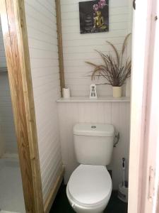 a bathroom with a white toilet with a plant at Bungalow de 3 chambres avec piscine privee jardin clos et wifi a Trois Rivieres in Trois-Rivières
