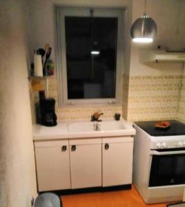 eine Küche mit einem Waschbecken, einem Fenster und einem Herd in der Unterkunft Appartement d'une chambre avec jardin amenage a Amelie les Bains Palalda in Amélie-les-Bains-Palalda