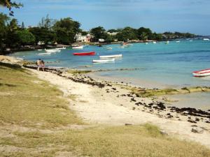 a group of boats in the water on a beach at Charming Apartment in Pamplemousses, 30 m² with Garden View in Pamplemousses Village +6 photos