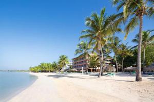 uma praia com palmeiras e um hotel em One bedroom apartement with sea view balcony and wifi at Boca Chica em Boca Chica