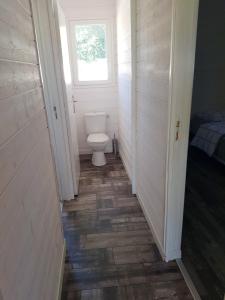 a small bathroom with a toilet and a window at Maison d'une chambre avec jardin clos et wifi a Audenge a 3 km de la plage in Audenge