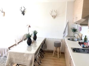 Kuchyňa alebo kuchynka v ubytovaní Cozy Apartment Mountain View - 70m² + 13 fotografií