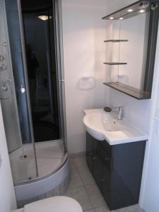 een badkamer met een douche, een wastafel en een toilet bij PERCHE, FISH AND GITES in Lanzac