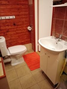 y baño con aseo y lavamanos. en Kauba 6-6 Apartment, en Kuressaare