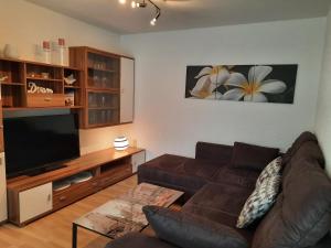 TV a/nebo společenská místnost v ubytování Ferienwohnung Odenwaldflair