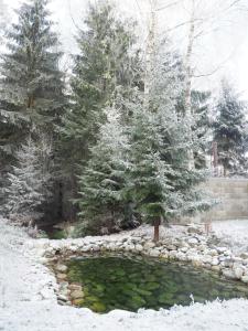 Ubytovanie&Reštaurácia Bodliak im Winter