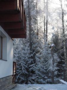 Ubytovanie&Reštaurácia Bodliak im Winter