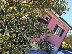 una casa rosa con un albero di fronte di Il Ghiretto Appartamento a Riccò del Golfo di Spezia