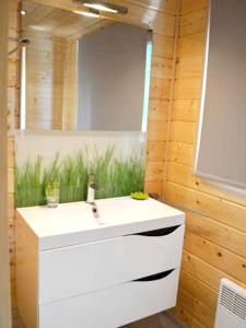 ein Badezimmer mit einem weißen Waschbecken und einem Spiegel in der Unterkunft 2 bedrooms house with enclosed garden at Erezee in Érezée