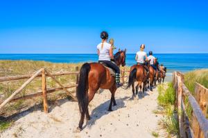 um grupo de pessoas andando a cavalo na praia em Apartamentos Posidonia em Son Parc