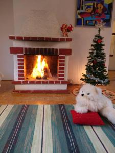 a white cat laying on a rug in front of a fireplace at Tilava huoneisto puutarhanäkymällä in Kankaanpää