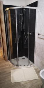 y baño con ducha y puerta de cristal. en Il Glicine, en Verona