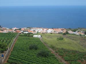 Gallery image of Comfortable Apartment in the North of Tenerife in Sauzal