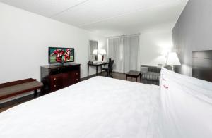 a hotel room with a white bed and a television at Red Roof PLUS Newark Liberty Airport - Carteret in Carteret