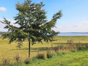 a tree in a field with water in the background at 4 person holiday home in H jslev in Højslev