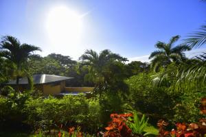 Aed väljaspool majutusasutust Villas Punta India
