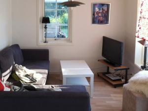 een woonkamer met een bank en een tv bij 5 person holiday home in RONNEBY in Ronneby