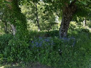 un jardín con flores azules y un árbol en 11 person holiday home in Farstad, en Farstad