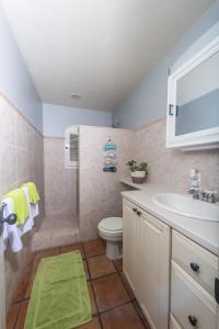 a bathroom with a sink and a toilet at Limetree Cottage at Chocolate Hole in Cruz Bay