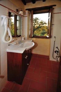 baño con lavabo y ventana en Agriturismo I Monti, en Semproniano