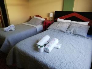 2 camas en una habitación de hotel con camas blancas en Artesonraju Hostel Huaraz, en Huaraz