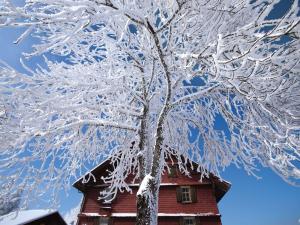 Holiday Home in Kandergrund near Ski Area a l'hivern