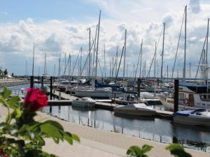 a bunch of boats docked in a marina at Apartment near Castle Bothmer in Klütz