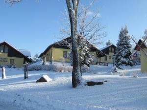 a tree sitting in the snow next to a house at Pleasant Holiday Home With Terrace in Schirgiswalde Germany in Schirgiswalde
