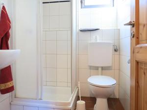 uma casa de banho com um WC e um chuveiro em Apartment with terrace in H ddingen em Bad Wildungen