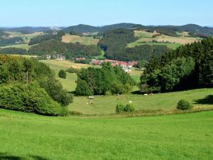 Naturlandschaft in der Nähe der Ferienwohnung