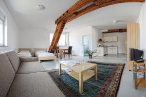 ein Wohnzimmer mit einem Sofa und einem Tisch in der Unterkunft Milchhof Apartments Aschaffenburg in Aschaffenburg