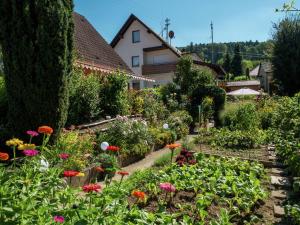 Zahrada ubytování Apartment in Haslach near Kinzigtal Lake