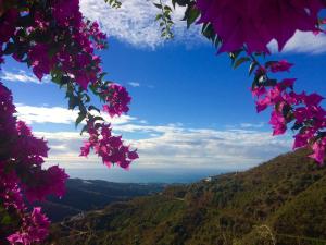 ArenasにあるBelvilla by OYO Casa Martijoの花束から渓谷を望む