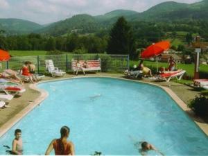 un gruppo di persone seduti intorno alla piscina di Cozy chalet with a dishwasher, in the High Vosges a Le Ménil