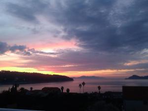 a sunset over a body of water with palm trees at Attractive apartment in Dubrovni with balcony in Lopud