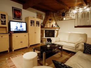a living room with a couch and a tv at Cosy holiday home in Vrsar with private pool in Marasi