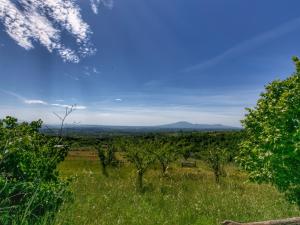 a field of grass with trees and a blue sky at Belvilla by OYO Casaletto Graffi in Civitella dʼAgliano