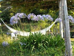 A garden outside Holiday Home in Vezzi Portio with Pool