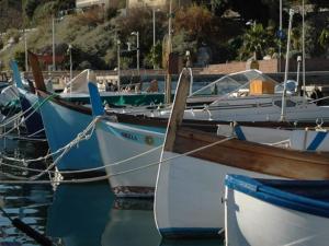 Táj Show holiday homes közelében