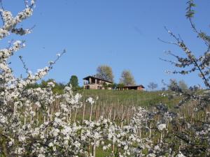 a house on top of a hill with white flowers at Belvilla by OYO Casa Magnano Ziano in Ziano Piacentino